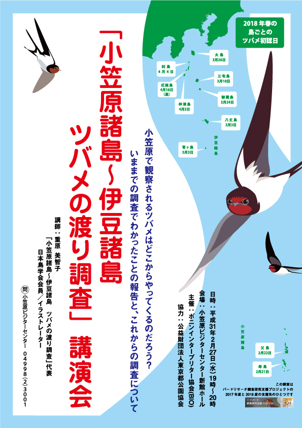 小笠原諸島 伊豆諸島 ツバメの渡り調査 講演会 小笠原村観光協会